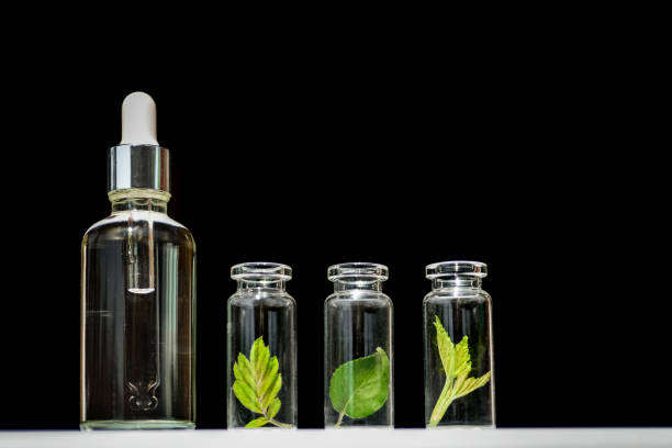 istock Homeopathic oil, serum and bottles with plants on blblack background 1227206106