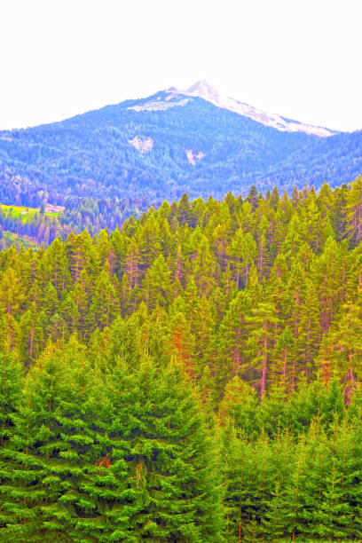 istock Nova Ponente Trentino South Tyrol Italy 1227208619