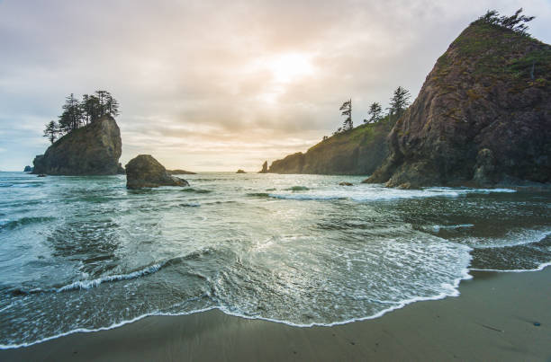 istock scenic view of sea stack in Second beach when sunset,in mt Olympic National park,Washington,usa. 1227209961