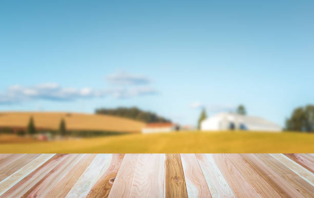 istock empty wooden deck table top Ready for product display montage with farm in blurred country side background. 1227209969