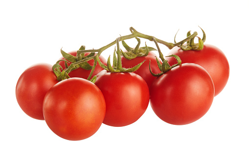 Bunch of fresh ripe and red cherry tomatoes on vine isolated on white background in the studio