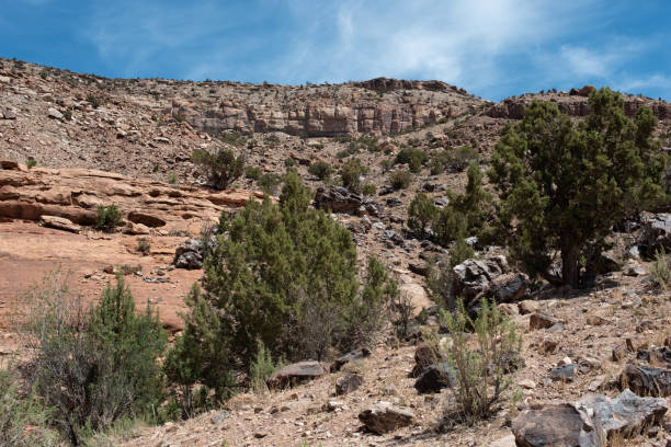 istock Wild Canyon in Western Colorado 1227211673
