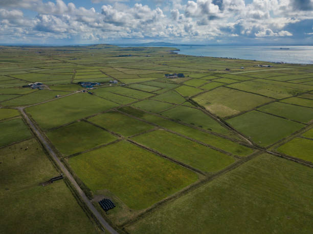 istock High Angle View Of Fields In Ireland 1227212541