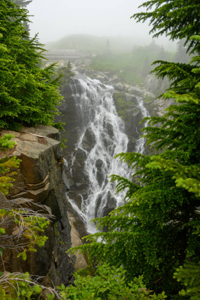 istock Myrtle Falls Tumbles Over Cliff on Foggy Day 1227214217