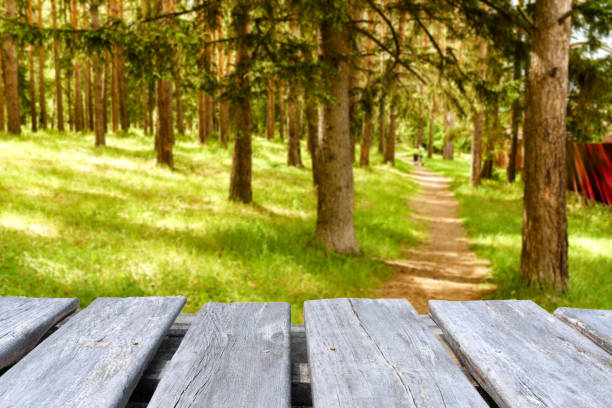 istock empty wooden table on the blur background of forest 1227214243