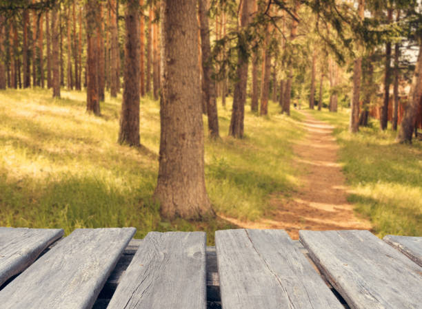 istock empty wooden table on the blur background of forest 1227214256