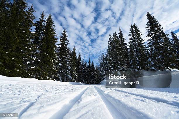 Camino De Santa Foto de stock y más banco de imágenes de Nieve - Nieve, Vista de ángulo bajo, Abeto