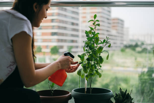istock gardening at home 1227217675