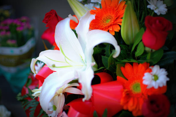 istock Colorful Flowers 1227217678