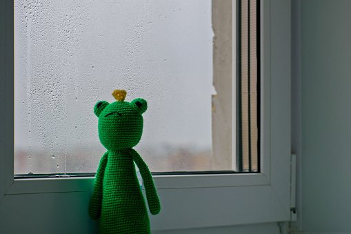 Knitted frog on on the window.