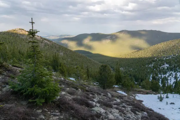 From along the trail to St Vrain Mountain in Colorado's Indian Peaks Wilderness.