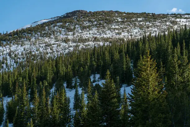 From along the trail to St Vrain Mountain in Colorado's Indian Peaks Wilderness.