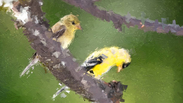istock Impressionistic Style Artwork of a Pair of American Goldfinch Perched in a Tree 1227224543