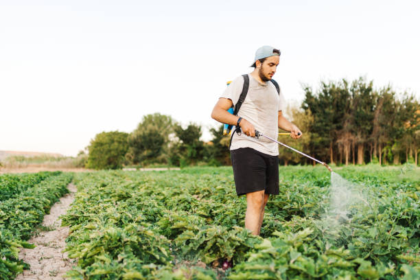 istock Farmer man spraying organic herbicide on the crop 1227225072