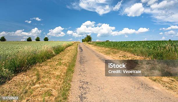 Country Road のトウモロコシや小麦のフィールド - Horizonのストックフォトや画像を多数ご用意 - Horizon, カラー画像, ハーブ