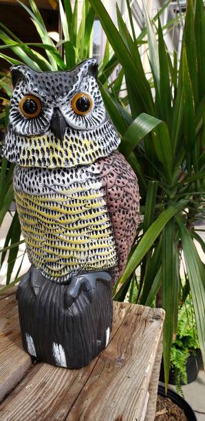 istock Plastic Owl decoy to scare 1227228085
