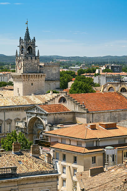 istock view on medieval town Avignon, France 122723015