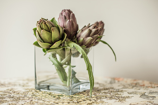 Beautiful Bouquet of Fresh Raw Artichoke in Vase on Table