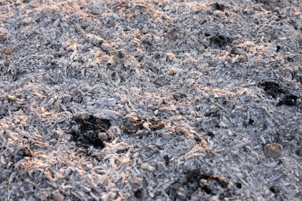 istock Gray ash from the oven background texture, grey ashes from the wood from the fireplace 1227232652