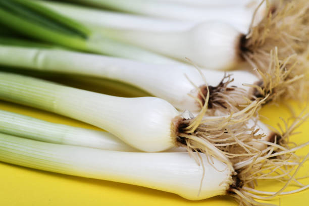 Rotten onion