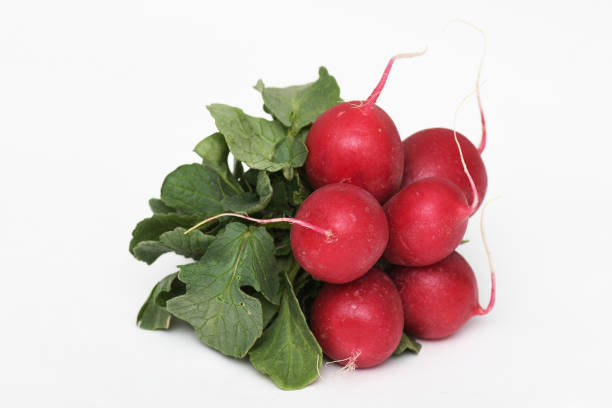 istock Red radishes isolated on white background 1227238790
