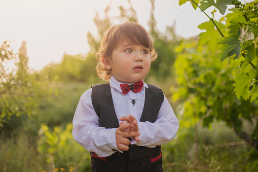 Portrait of Little Boy is shouting with his hands open.Young Boy Wearing Bow Tie Smiling