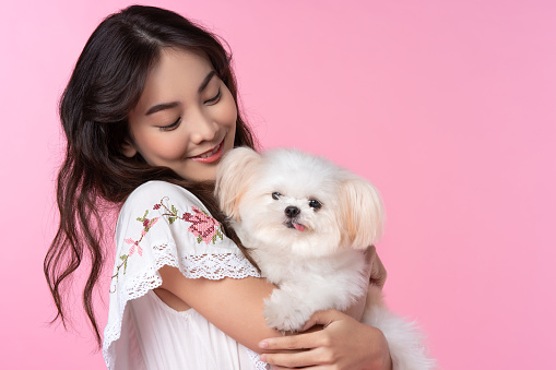Young Asian woman with her dog chihuahua hug and feeling happy shoot in isolated on pink background