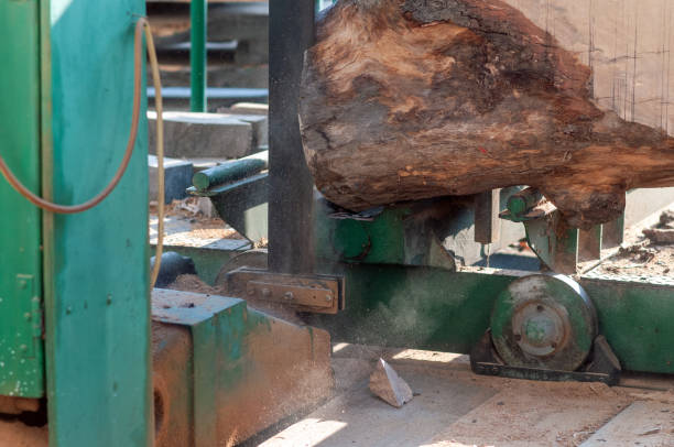 istock Industrial saw with wooden trunk 1227245084