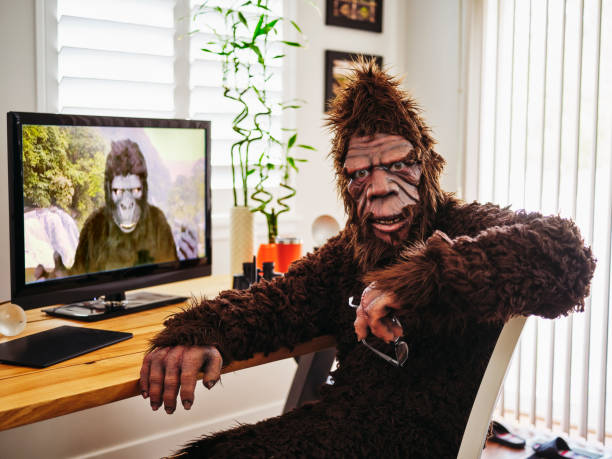 Sasquatch and Gorilla on a Web Chat A sasquatch bigfoot chatting online with a gorilla. hairy photos stock pictures, royalty-free photos & images