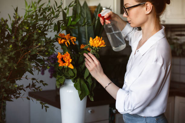 istock Attractive woman watering flowers. 1227248357