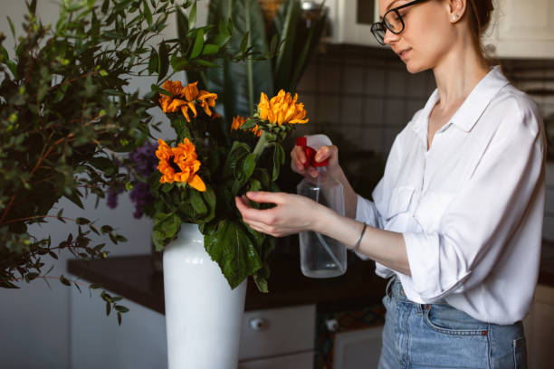 istock Woman enjoying some flower arranging at home 1227248367