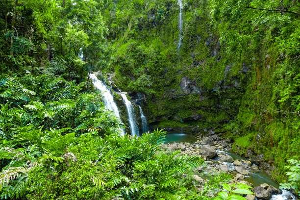 istock Single Waterfall Surrounded by a Tropical Forest Filled With Trees and Lush Foliage in Hawaii, USA 1227250169