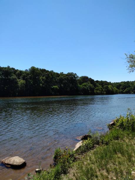 istock Rocks In The Water 1227252604