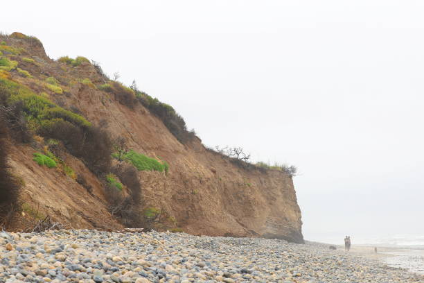 istock Cliffs with Vegetation Overlooking San Onofre State Beach, California, USA 1227252607