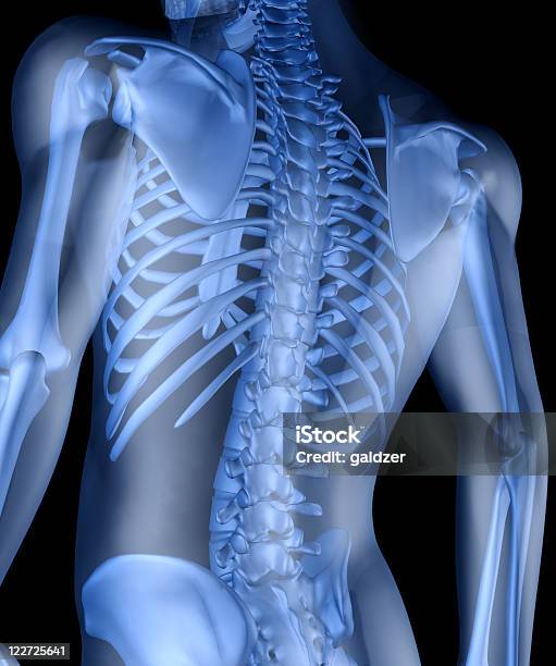 Foto de Esqueleto Do Homem e mais fotos de stock de Anatomia - Anatomia, Articulação humana, Azul