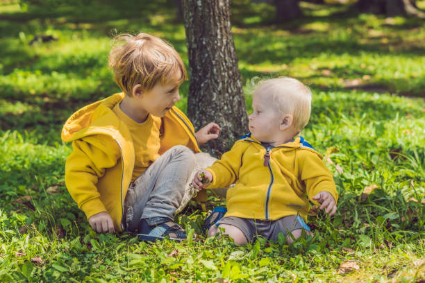 two happy brothers in yellow sweatshirts in the autumn park - 6206 imagens e fotografias de stock