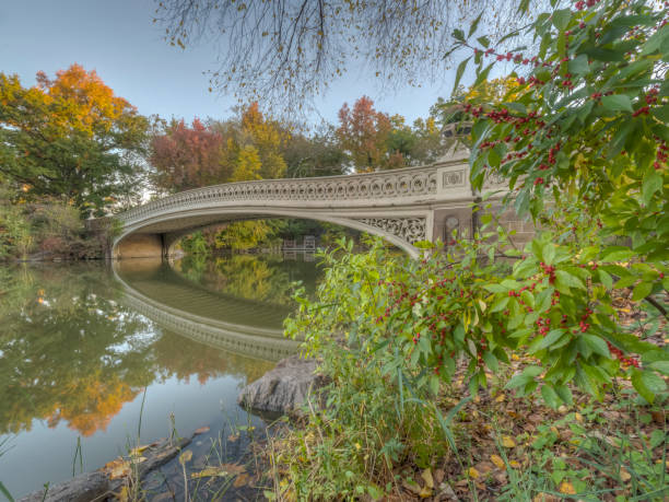 istock Autumn in Central Park at the Bow bridge 1227260197