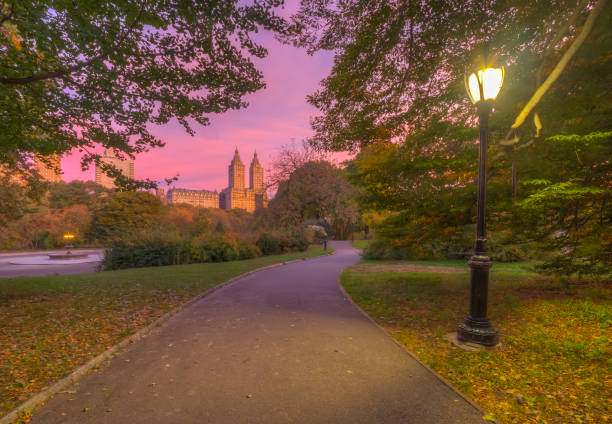 istock Autumn in Central Park 1227260923