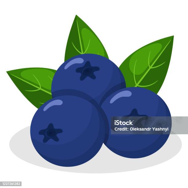 Ilustración de Arándano Exótico Brillante Fresco Aislado Sobre Fondo Blanco Frutas De Verano Para Un Estilo Ilustración de Arándano Exótico Brillante Fresco Aislado Sobre Fondo Blanco Frutas De Verano Para Un Estilo