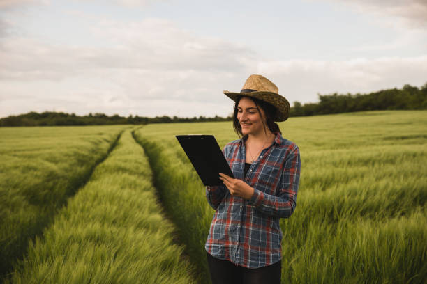 istock Female plant researchers are checking and taking notes in wheat fields 1227261337