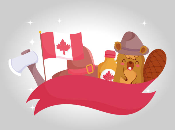 ilustrações, clipart, desenhos animados e ícones de castor com bandeira canadense e design de vetor conjunto de ícones - canadian flag maple leaf canada computer icon