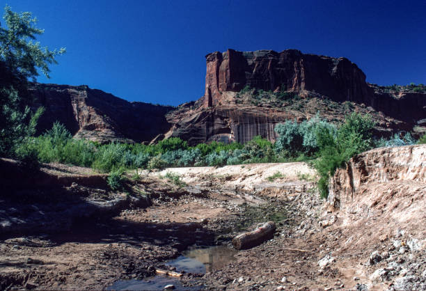 istock Canyon de Chelly NM - Canyon Stream Horizontal - 1998 1227263684