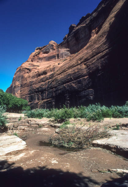 istock Canyon de Chelly NM - Stream Beside Canyon Wall Vertical - 1998 1227264288