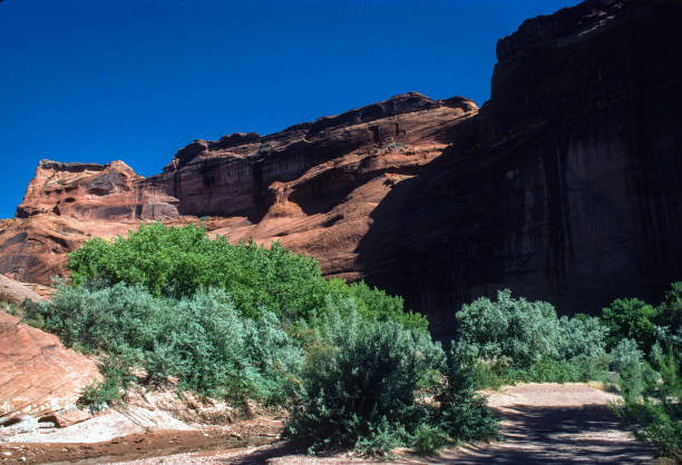 istock Canyon de Chelly NM - Trail on Canyon Floor - 1998 1227264375