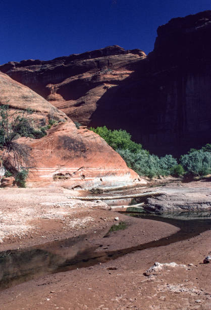 istock Canyon de Chelly NM - Canyon Stream Vertical - 1998 1227264408