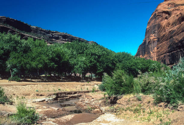 istock Canyon de Chelly NM - River on Canyon Floor - 1998 1227265067