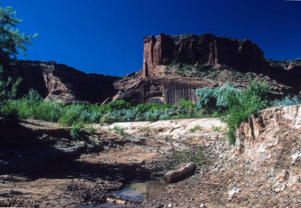 istock Canyon de Chelly NM - Stream on Canyon Floor - 1998 1227265945