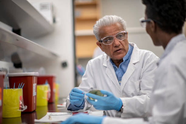 cientista homem maduro discutindo descobertas de pesquisa em um laboratório com um aluno - male black medical student mature student - fotografias e filmes do acervo