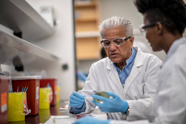 cientista homem maduro discutindo descobertas de pesquisa em um laboratório com um aluno - male black medical student mature student - fotografias e filmes do acervo