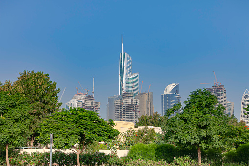 Dubai, United Arab Emirates - Looking upwards above the landscaped trees in the erly morning sunlight towards the area known locally as Jumeirah Lake Towers. Many of the towers that will become skyscrapers are still under construction. The trees in the foreground are cultivated and maintained as part of the City's landscaping endeavour. Image shot in the morning sunlight; horizontal format. Copy space.